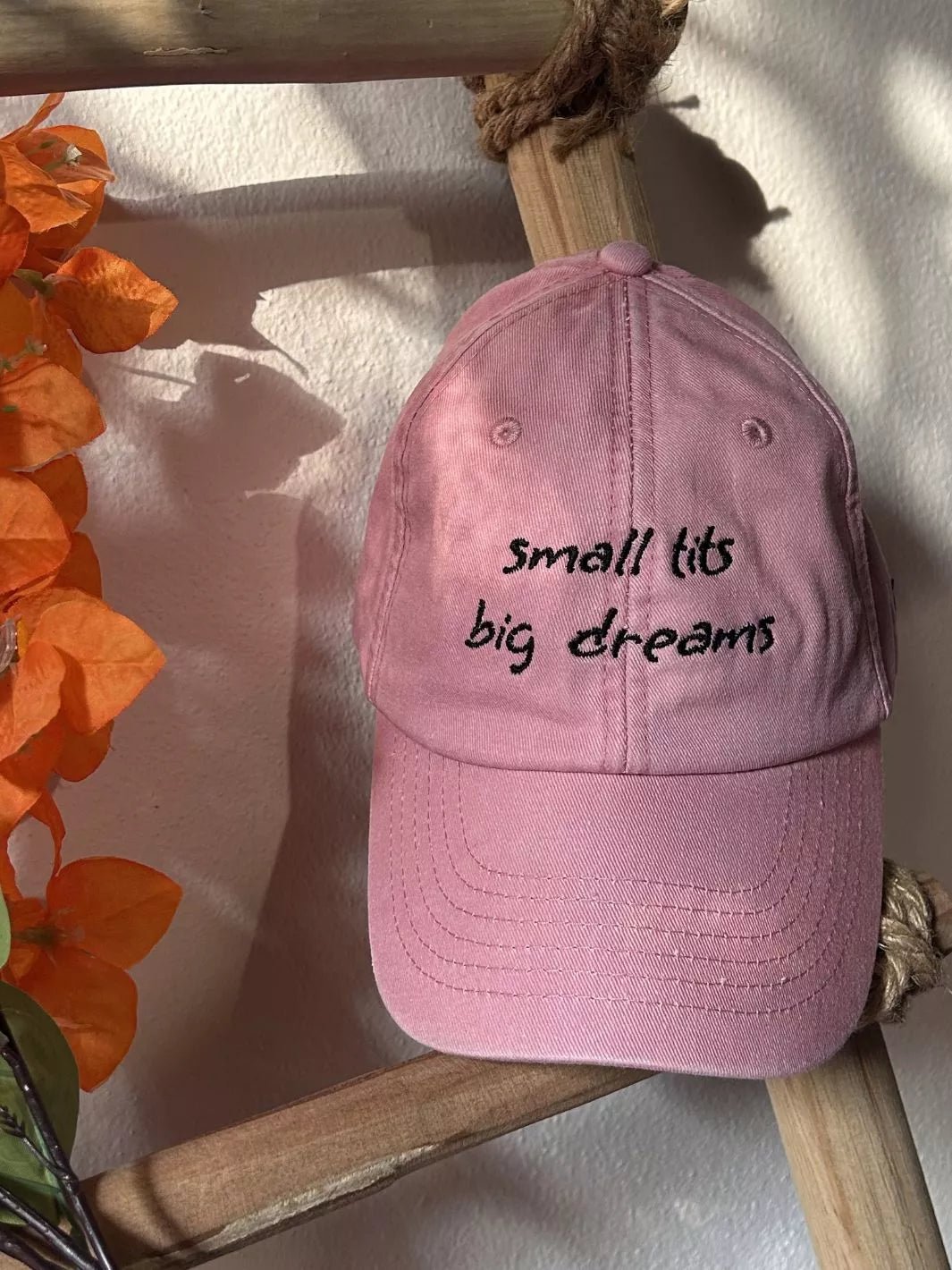 embroidered washed out baseball cap small tits big dreams