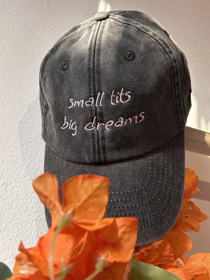 embroidered washed out baseball cap small tits big dreams