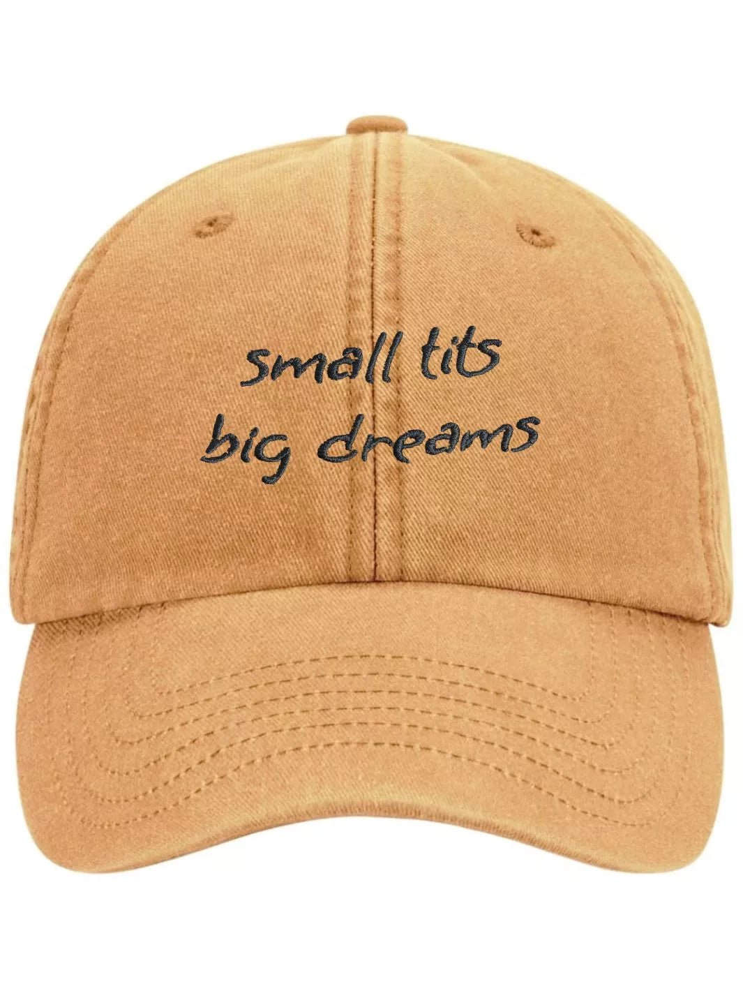 embroidered washed out baseball cap small tits big dreams