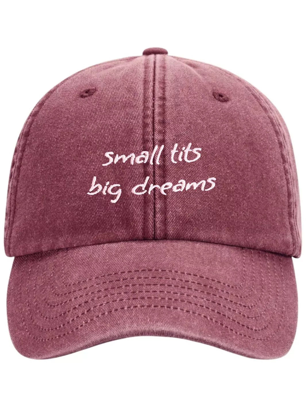 embroidered washed out baseball cap small tits big dreams