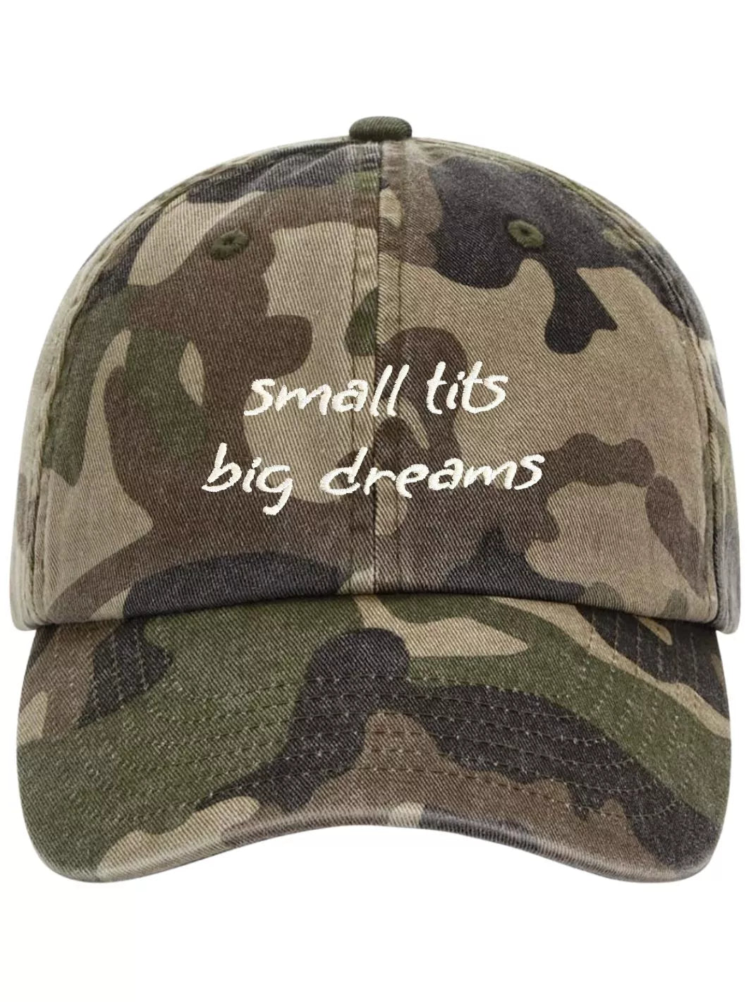 embroidered washed out baseball cap small tits big dreams