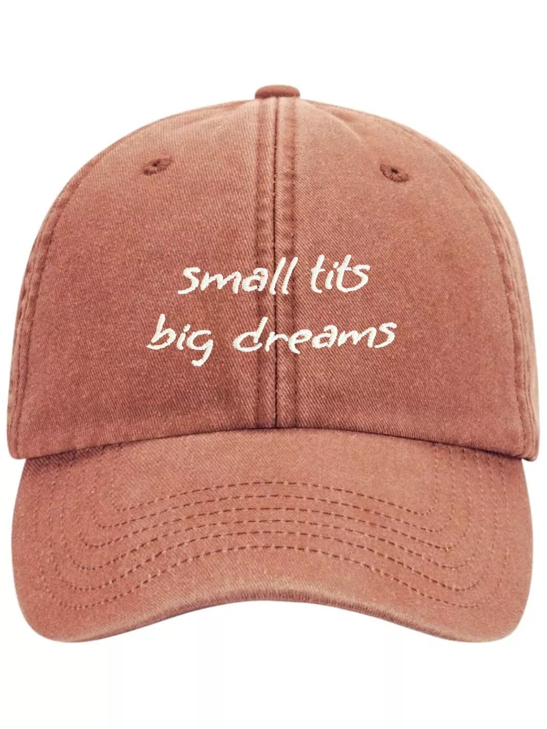 embroidered washed out baseball cap small tits big dreams
